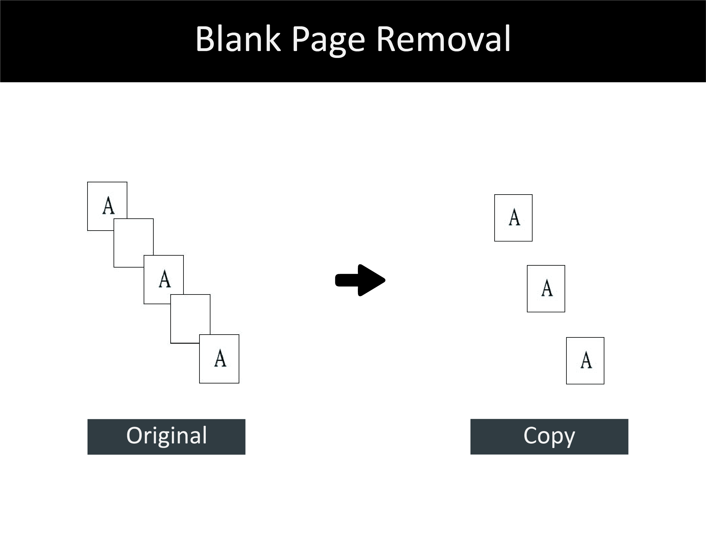 SI_Blank